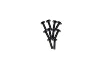 Absima Cap head self-tapping screw (10)