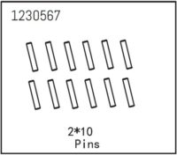 Absima Pins 2*10 (12)