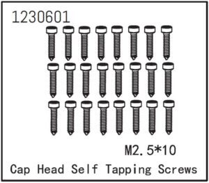 Absima Self-tapping Cap Screw M2.5*12 (24)