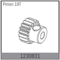 Absima Motor Pinion 19T