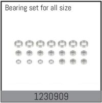Absima Complete Bearing Set
