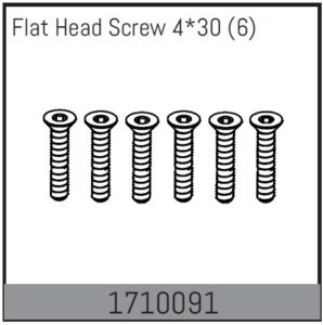 Absima Flat Head Screw 4*30 (6)