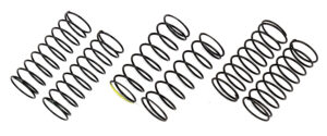 Team Associated FT 10 mm Rear Spring Set