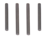 Team Associated Outer Hinge Pin Set