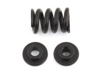 Team Associated B6.1 Slipper Spring