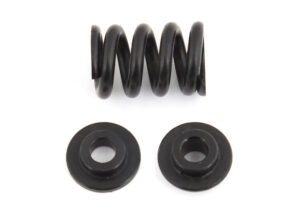 Team Associated B6.1 Slipper Spring