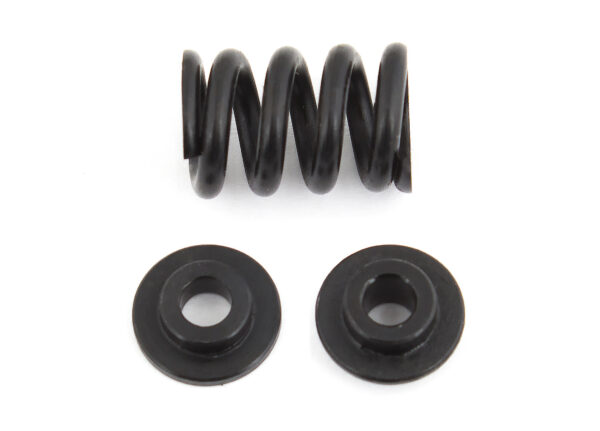 Team Associated B6.1 Slipper Spring
