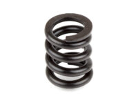 Team Associated Slipper Spring