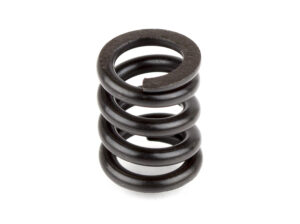 Team Associated Slipper Spring