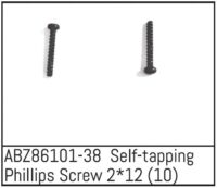 Absima Self-tapping Phillips Screw 2*12 - Mini AMT (10)