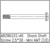 Absima Shock Shaft Screw 2.5*30 - Mini AMT (10)