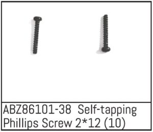Absima ABZ86101-38 Self-tapping Phillips Screw 2*12 - Mini AMT (10)