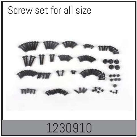 Absima Complete Screw Set 1 Absima Complete Screw Set