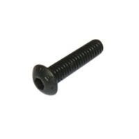 Screws M3x10mm BHCS (10) ERC