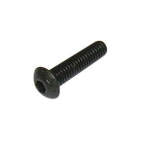 Screws M3x10mm BHCS (10) ERC