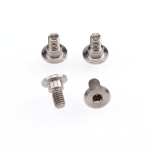 Screws M3x6mm (4) Titanium Servo Mounting (RDRP0538) RDRP