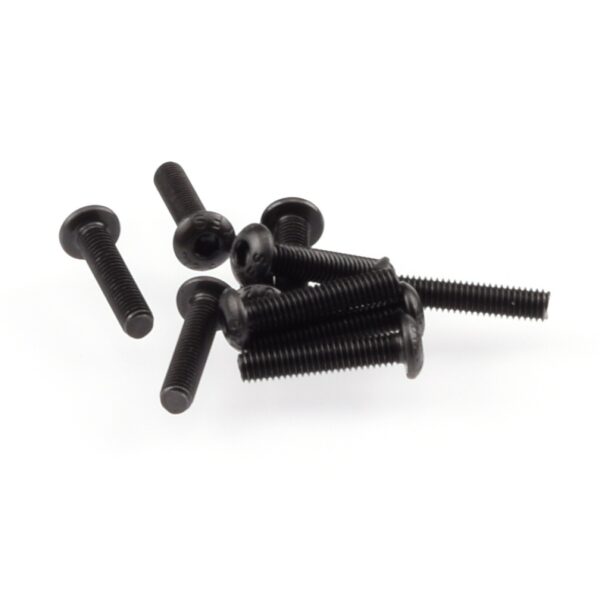 Screws M3x14mm BHCS (10) Ruddog