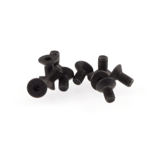Screws M3x6mm FHCS (10) Ruddog