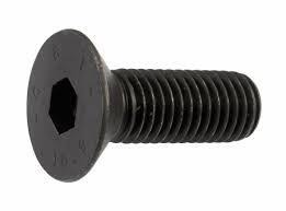 Screws M5x12mm FHCS (10) ERC