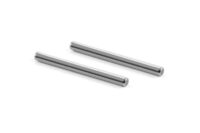 Xray Rear Arm Pivot Pin 3X34Mm(2)