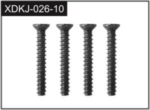 Absima 2x10 Screws (4) (J-026-10)