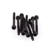 Ruddog M3x35mm Screws SH (10)